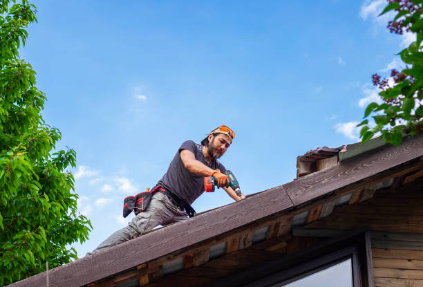 Best Emergency Roof Repair Services  in Oceana, WV